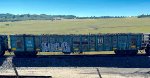 CW 5164